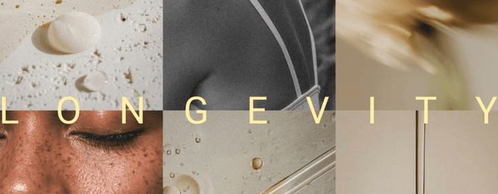 NEE-V guide to wellness and healthy ageing, exploring nutrition, movement, skin health and evidence-led daily habits