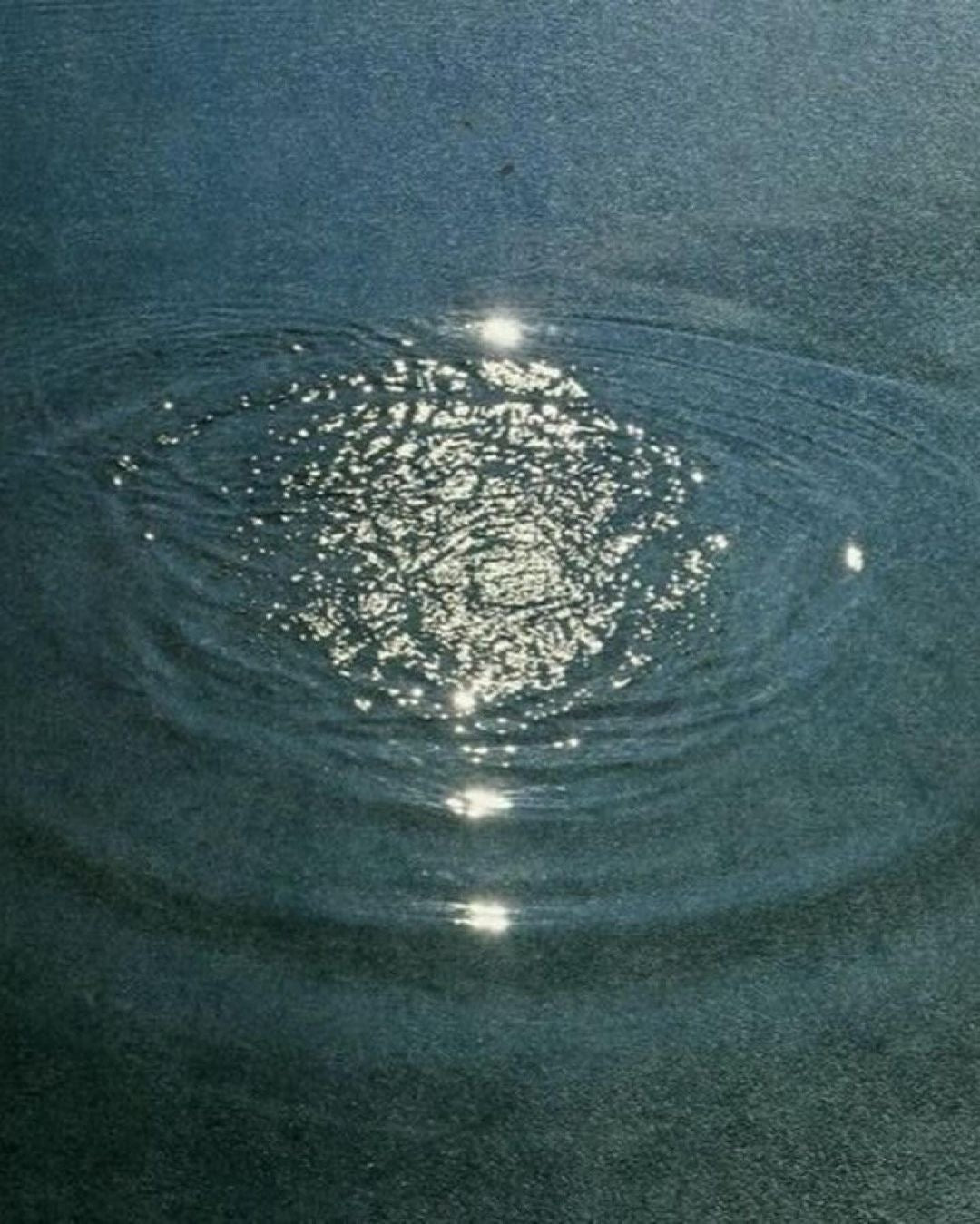 Best Collagen Australia | A Founder’s Year of Daily Collagen | NEE-V